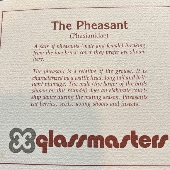 GLASS ART WINDOW STAIN GLASS- LIKE HANGING - Picture 11 of 11